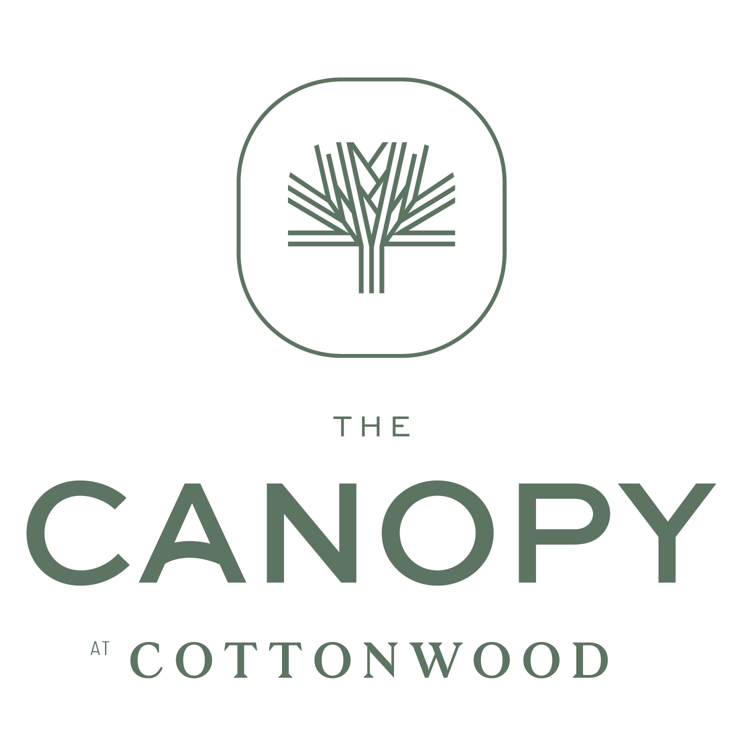 canopy-at-cottonwood-luxury-homes-in-casa-grande-az