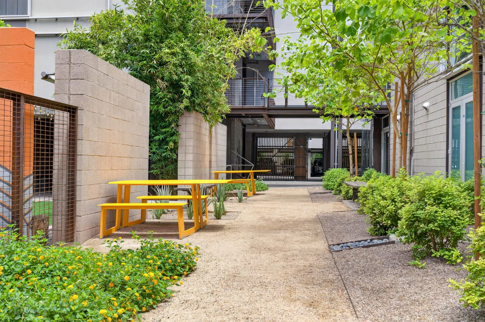 Walking Path with Benches