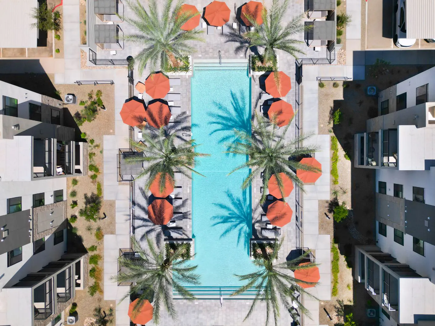 Aerial view of pool with palm trees and orange umbrellas at Harmony at Hawes Crossing