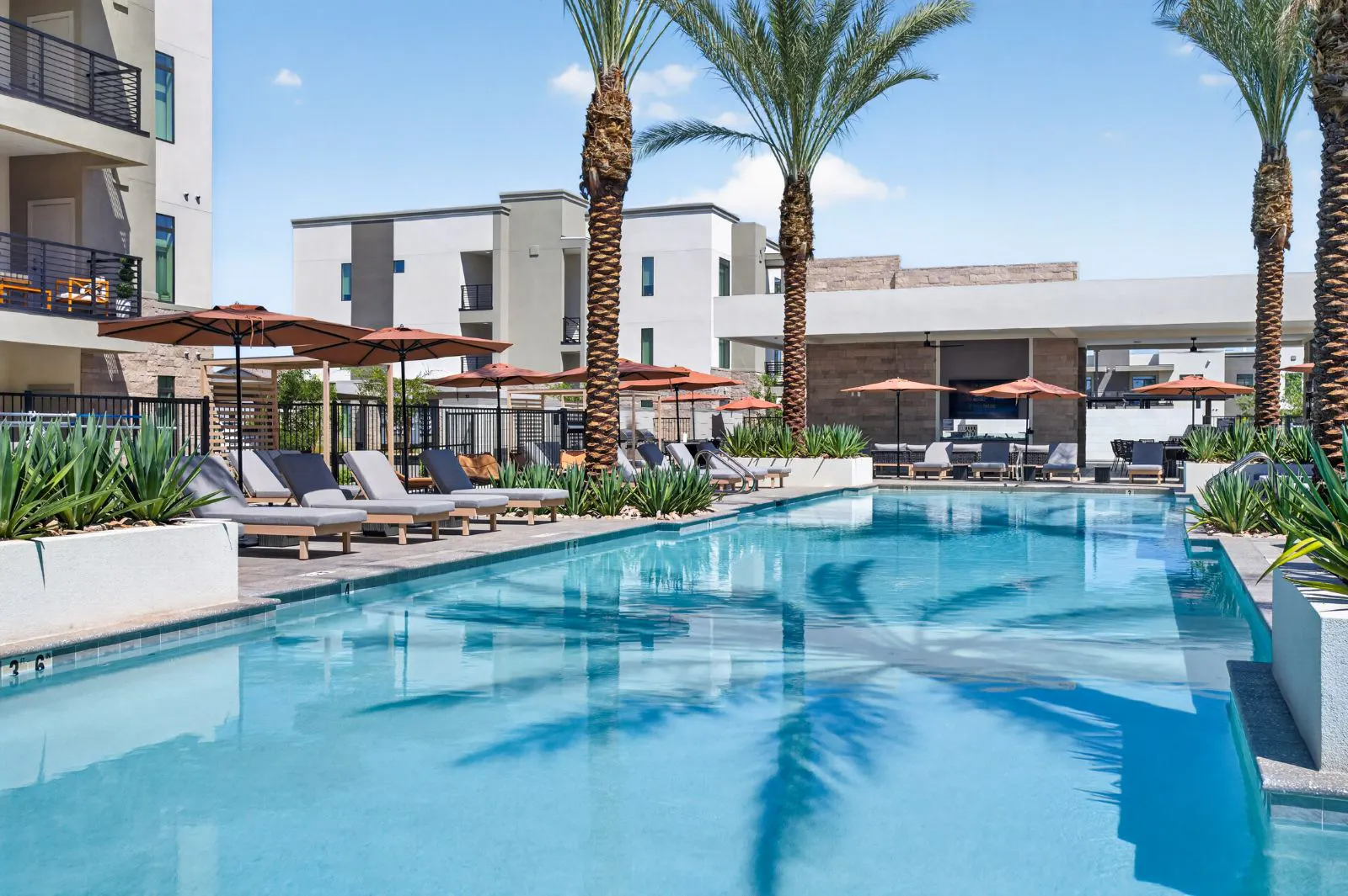Lap pool with lounge chairs, umbrellas and palm trees at Harmony at Hawes Crossing