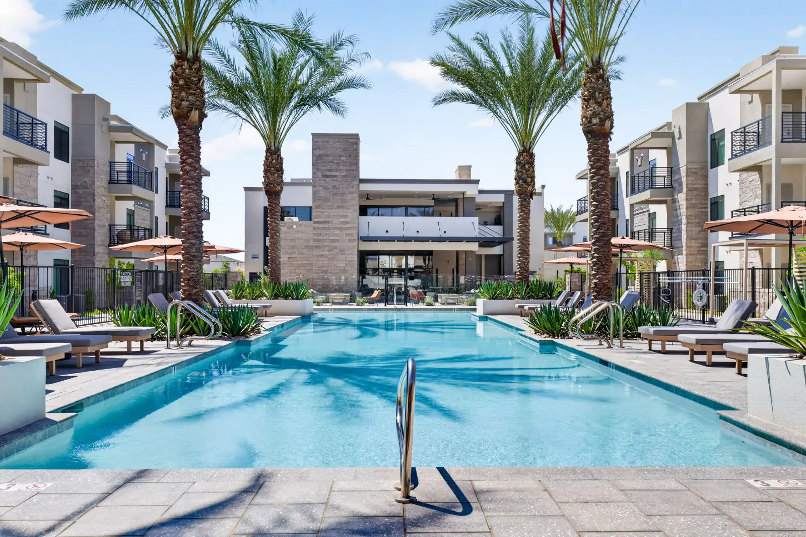 Pool with lounge chairs and palm trees facing the clubhouse at Harmony at Hawes Crossing