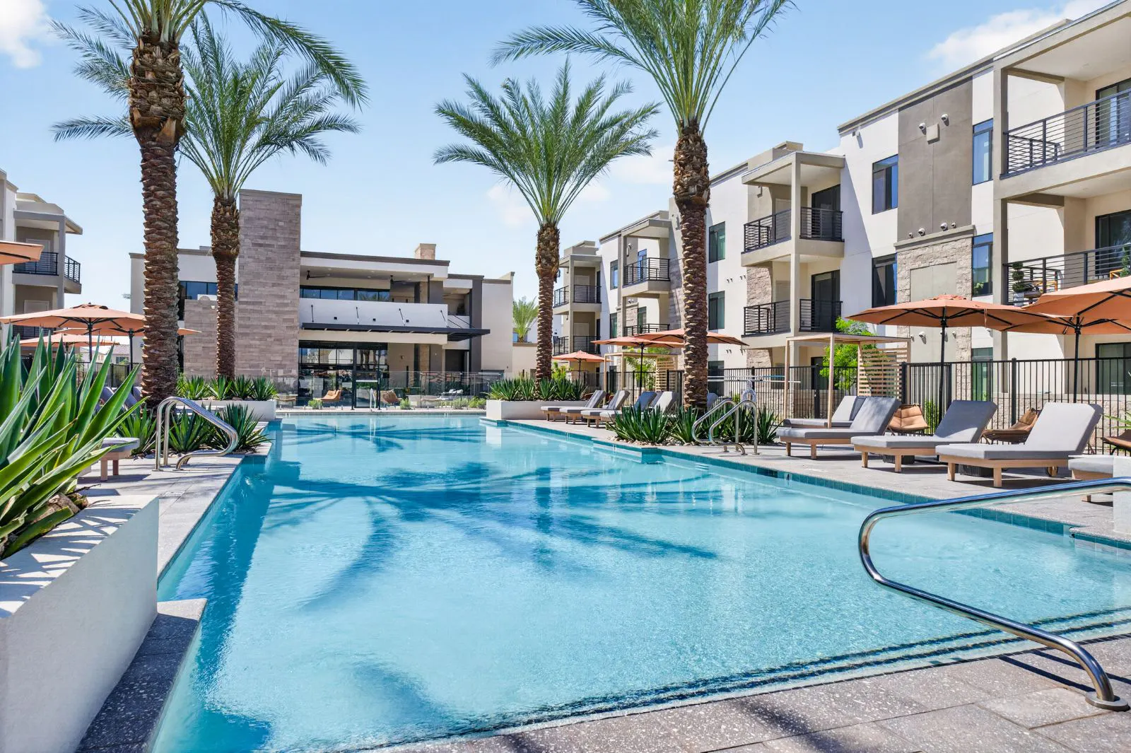 Resort-style pool lined with palm trees and lounge chairs at Harmony at Hawes Crossing