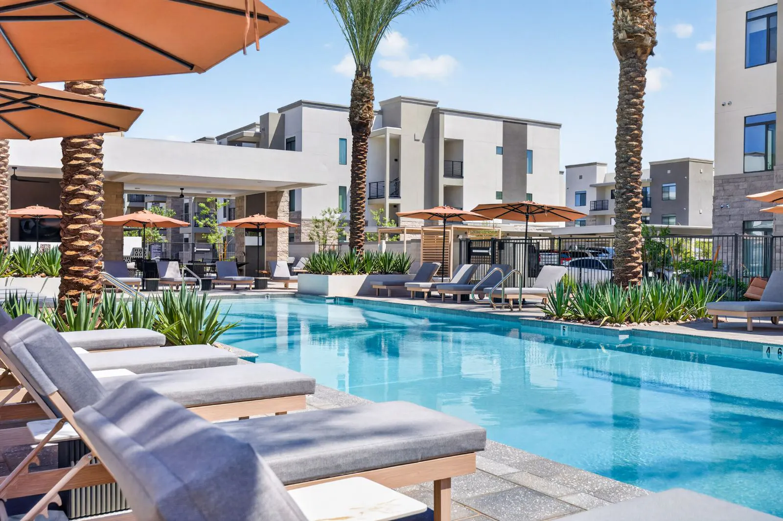 Pool with cushioned lounge chairs and umbrellas at Harmony at Hawes Crossing