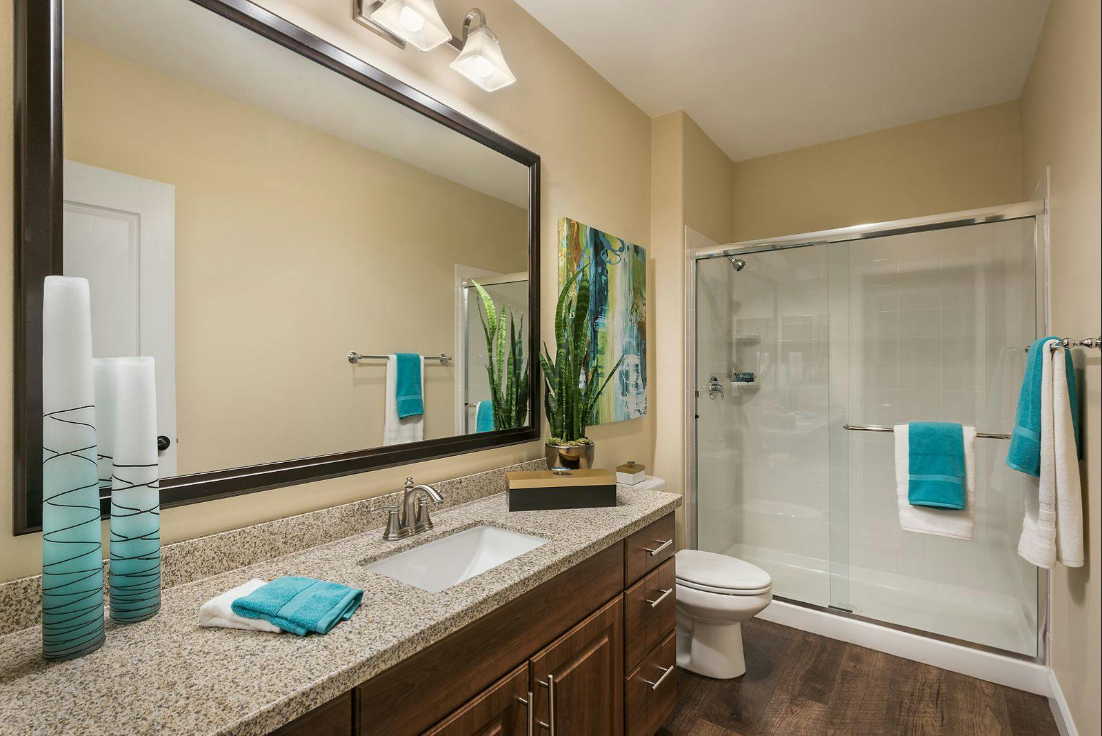 Luxury Apartment Homes San Valencia in Chandler, AZ