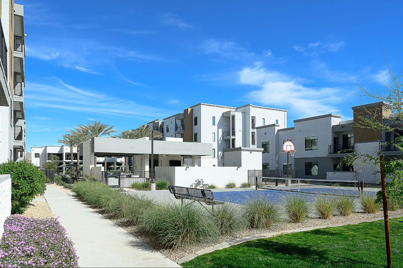 Courtyard and grounds at The M at Shadow Mountain.